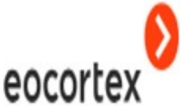 Ecortex